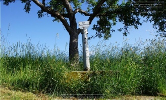 Vierroehrenbrunnen am Grafeneckart