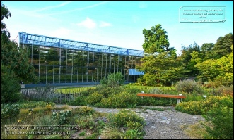 Botanischer Garten
