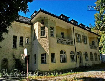 Wald-Haus im Steinbachtal
