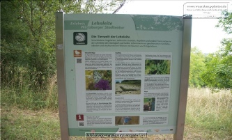 Grünzug Lehnleite