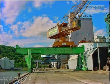 Krane im Neuen Hafen