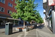 Eichhornstrasse in Wuerzburg