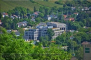 Gudrunswiese - ein Stueck Natur mit grandioser Aussicht