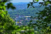 Gudrunswiese - ein Stueck Natur mit grandioser Aussicht