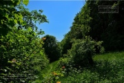 Gudrunswiese - ein Stueck Natur mit grandioser Aussicht