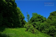 Gudrunswiese - ein Stueck Natur mit grandioser Aussicht