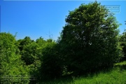 Gudrunswiese - ein Stueck Natur mit grandioser Aussicht