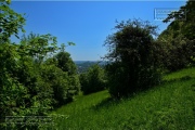 Gudrunswiese - ein Stueck Natur mit grandioser Aussicht