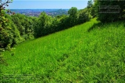 Gudrunswiese - ein Stueck Natur mit grandioser Aussicht