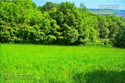 Gudrunswiese - ein Stueck Natur mit grandioser Aussicht