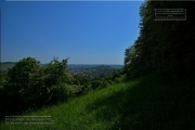 Gudrunswiese - ein Stueck Natur mit grandioser Aussicht