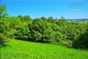 Gudrunswiese - ein Stueck Natur mit grandioser Aussicht