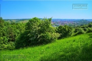 Gudrunswiese - ein Stueck Natur mit grandioser Aussicht