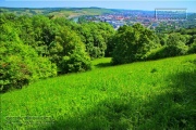 Gudrunswiese - ein Stueck Natur mit grandioser Aussicht