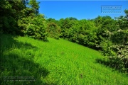 Gudrunswiese - ein Stueck Natur mit grandioser Aussicht