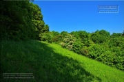 Gudrunswiese - ein Stueck Natur mit grandioser Aussicht