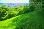 Gudrunswiese - ein Stueck Natur mit grandioser Aussicht