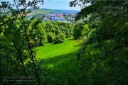 Gudrunswiese - ein Stueck Natur mit grandioser Aussicht