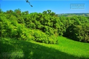 Gudrunswiese - ein Stueck Natur mit grandioser Aussicht