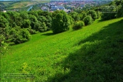 Gudrunswiese - ein Stueck Natur mit grandioser Aussicht