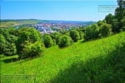 Gudrunswiese - ein Stueck Natur mit grandioser Aussicht