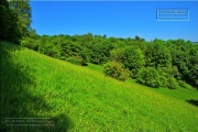 Gudrunswiese - ein Stueck Natur mit grandioser Aussicht