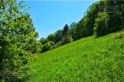 Gudrunswiese - ein Stueck Natur mit grandioser Aussicht