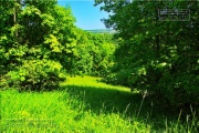 Gudrunswiese - ein Stueck Natur mit grandioser Aussicht