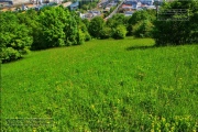 Gudrunswiese - ein Stueck Natur mit grandioser Aussicht