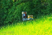 Gudrunswiese - ein Stueck Natur mit grandioser Aussicht