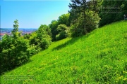 Gudrunswiese - ein Stueck Natur mit grandioser Aussicht