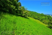 Gudrunswiese - ein Stueck Natur mit grandioser Aussicht