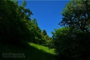 Gudrunswiese - ein Stueck Natur mit grandioser Aussicht