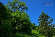 Gudrunswiese - ein Stueck Natur mit grandioser Aussicht