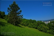 Gudrunswiese - ein Stueck Natur mit grandioser Aussicht