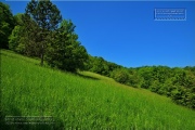 Gudrunswiese - ein Stueck Natur mit grandioser Aussicht