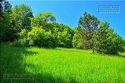 Gudrunswiese - ein Stueck Natur mit grandioser Aussicht