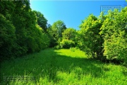 Gudrunswiese - ein Stueck Natur mit grandioser Aussicht