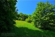 Gudrunswiese - ein Stueck Natur mit grandioser Aussicht