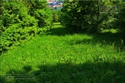 Gudrunswiese - ein Stueck Natur mit grandioser Aussicht