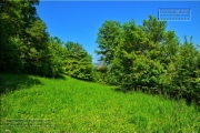 Gudrunswiese - ein Stueck Natur mit grandioser Aussicht