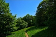 Gudrunswiese - ein Stueck Natur mit grandioser Aussicht