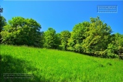 Gudrunswiese - ein Stueck Natur mit grandioser Aussicht