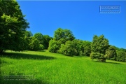 Gudrunswiese - ein Stueck Natur mit grandioser Aussicht