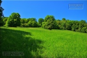 Gudrunswiese - ein Stueck Natur mit grandioser Aussicht