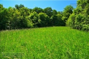 Gudrunswiese - ein Stueck Natur mit grandioser Aussicht