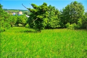 Gudrunswiese - ein Stueck Natur mit grandioser Aussicht