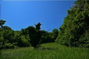 Gudrunswiese - ein Stueck Natur mit grandioser Aussicht