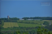 Gudrunswiese - ein Stueck Natur mit grandioser Aussicht