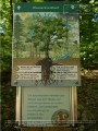 Walderlebnispfad endlich restauriert und neu gestaltetim September 2023